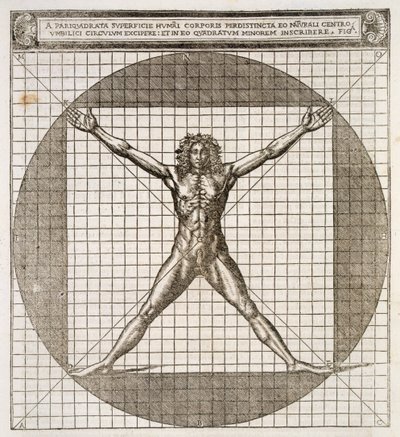Proporciones ideales reveladas basadas en el cuerpo humano, de 